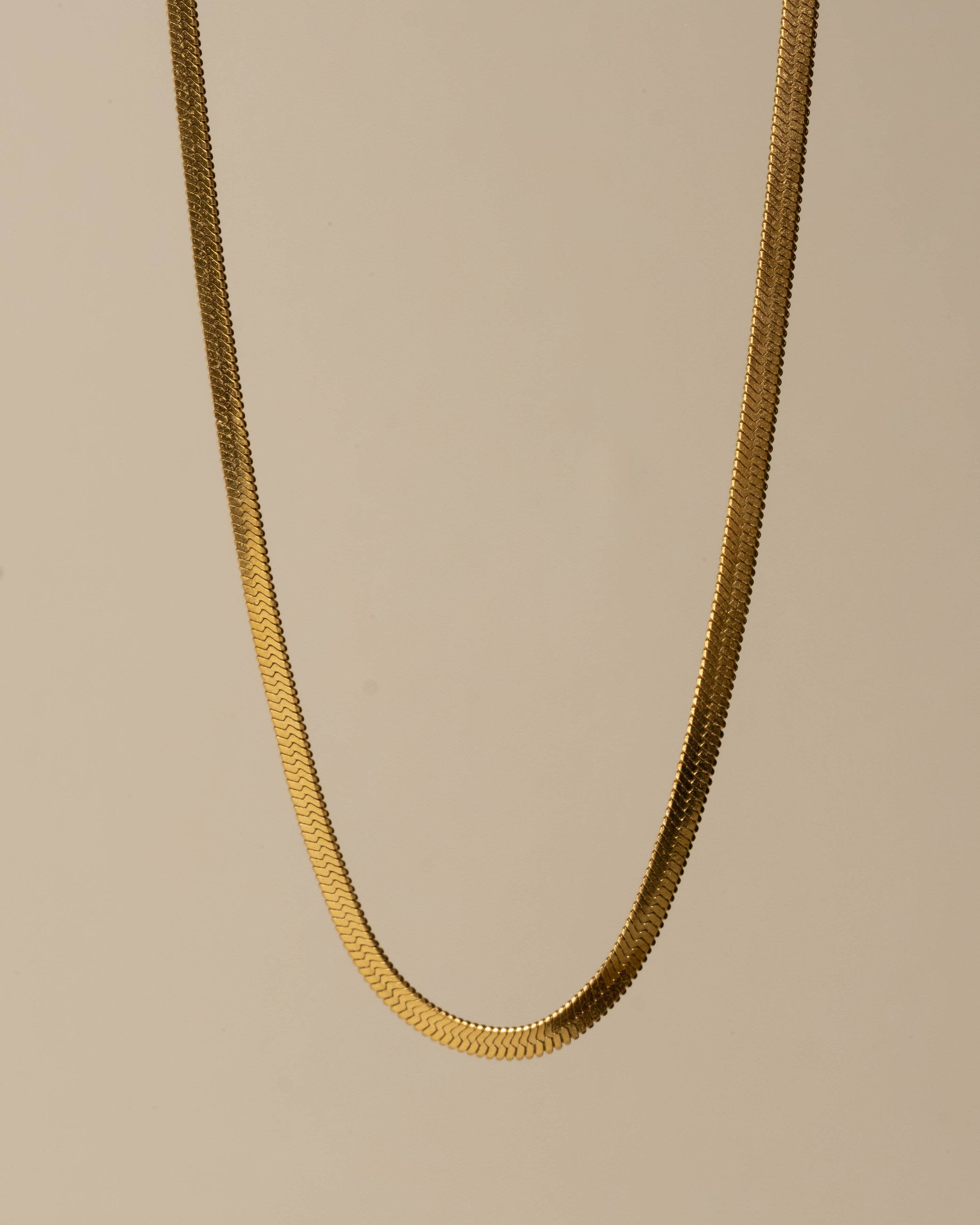 Snake Chain Necklace
